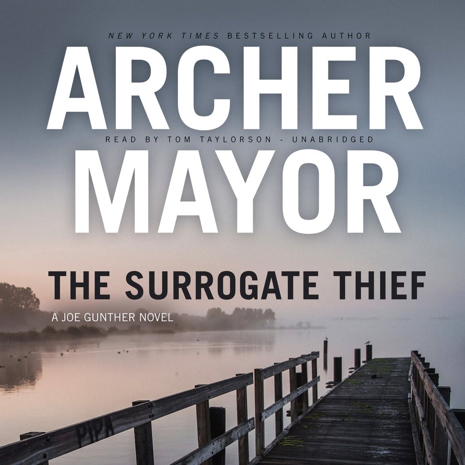 Book Cover For The Surrogate Thief By Archer Mayor