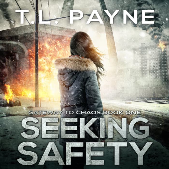 Book cover for Seeking Safety by T. L. Payne