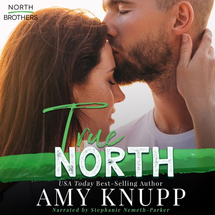 Book cover for True North by Amy Knupp