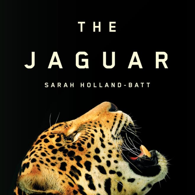 "The Jaguar" by Sarah Holland-Batt
