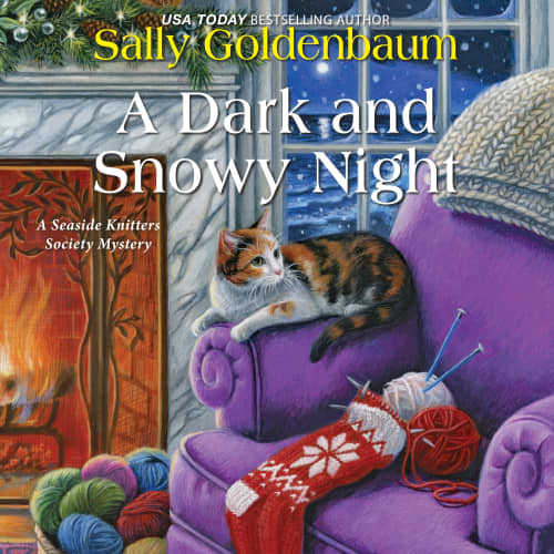 A Dark and Snowy Night by Sally Goldenbaum