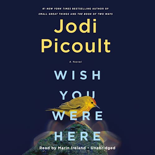 Book cover for Wish You Were Here by Jodi Picoult