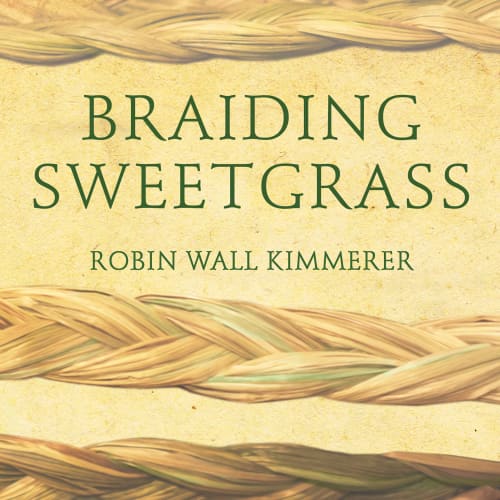 Book cover for Braiding Sweetgrass by Robin Wall Kimmerer