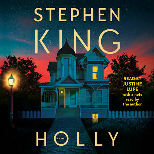 Book cover for Holly by Stephen King