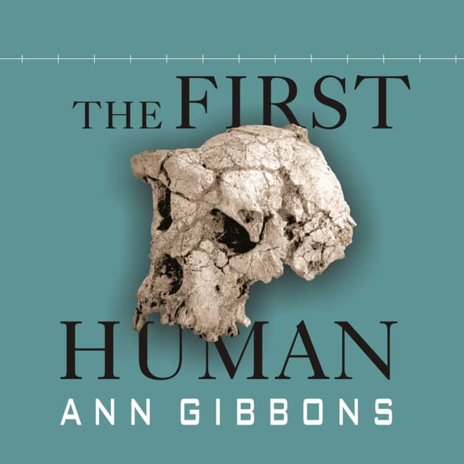 Book cover for The First Human by Ann Gibbons