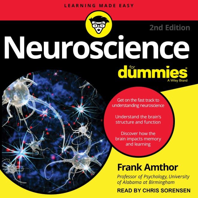Book cover for Neuroscience For Dummies by Frank Amthor