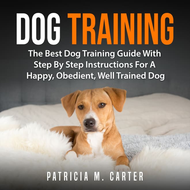 Best puppy store training guide