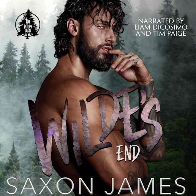 Saxon James Wilde's End (The Wilde Men Book 1)