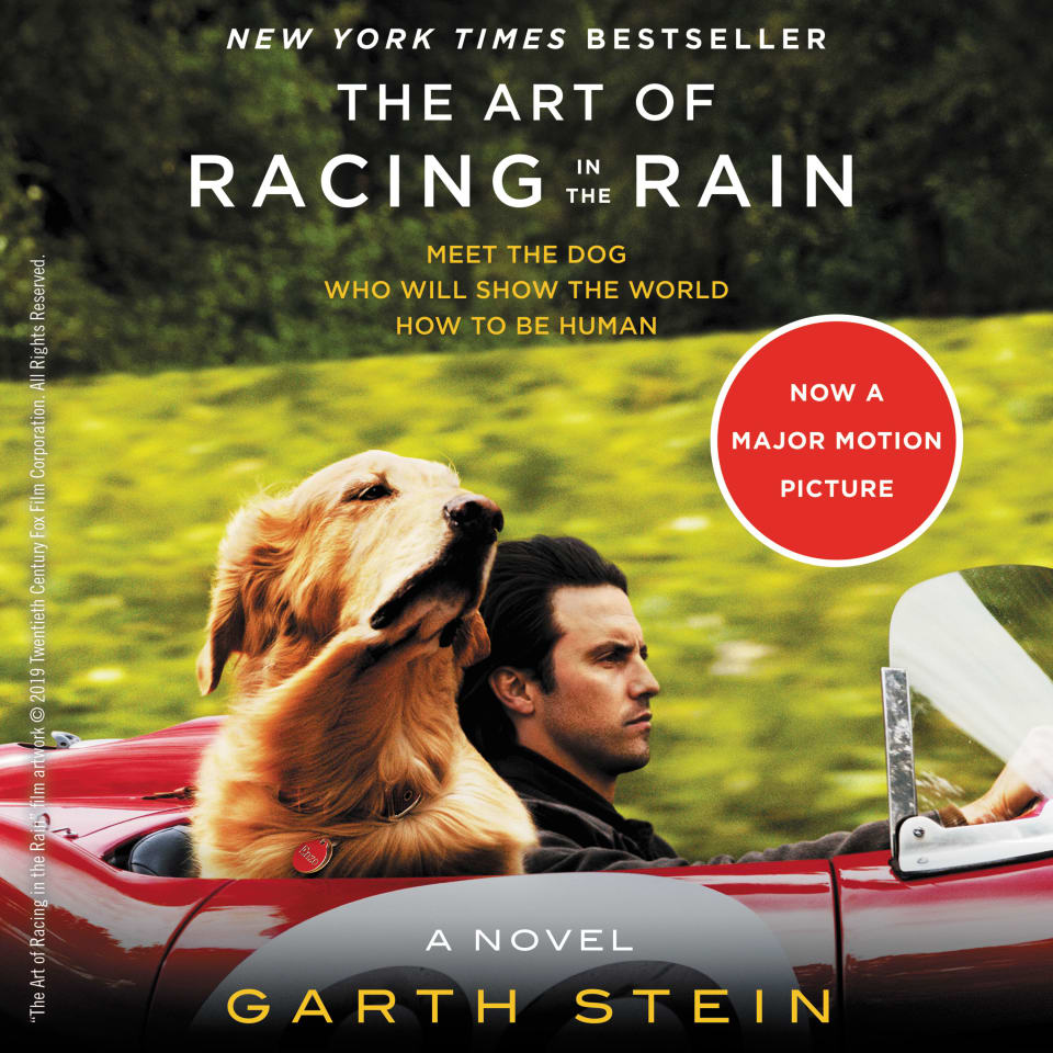 The Art of Racing in the Rain by Garth Stein - Audiobook (No Subscription)