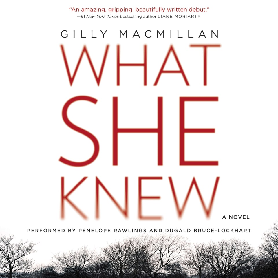 book review what she knew