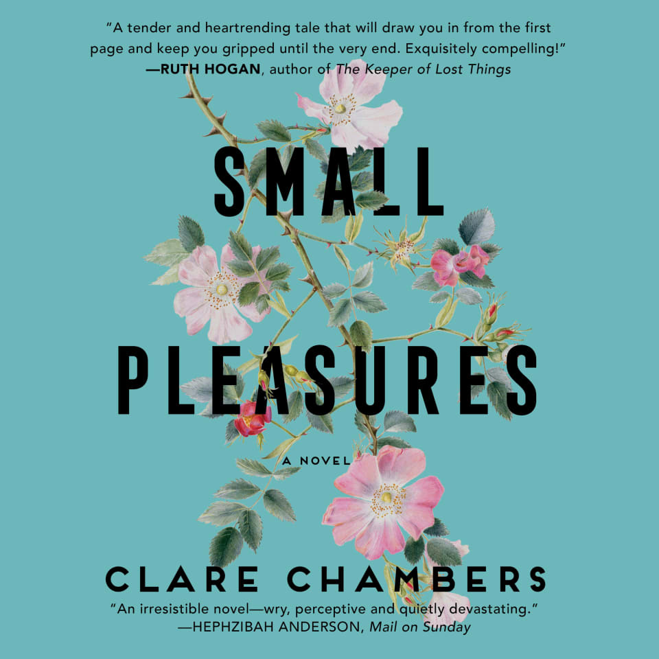 Small Pleasures by Clare Chambers - Audiobook