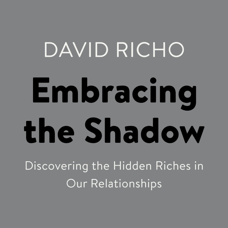 Embracing the Shadow - Audiobook, by David Richo