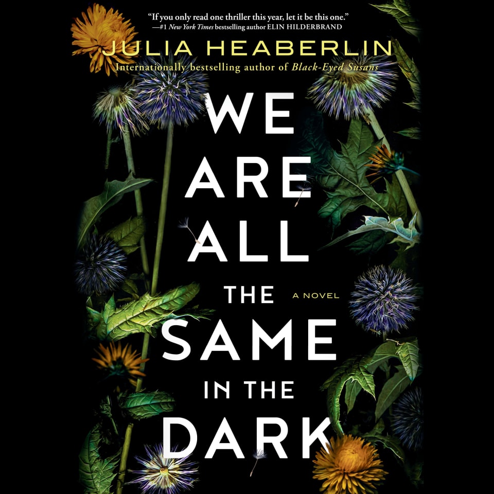We Are All the Same in the Dark - Audiobook, by Julia Heaberlin
