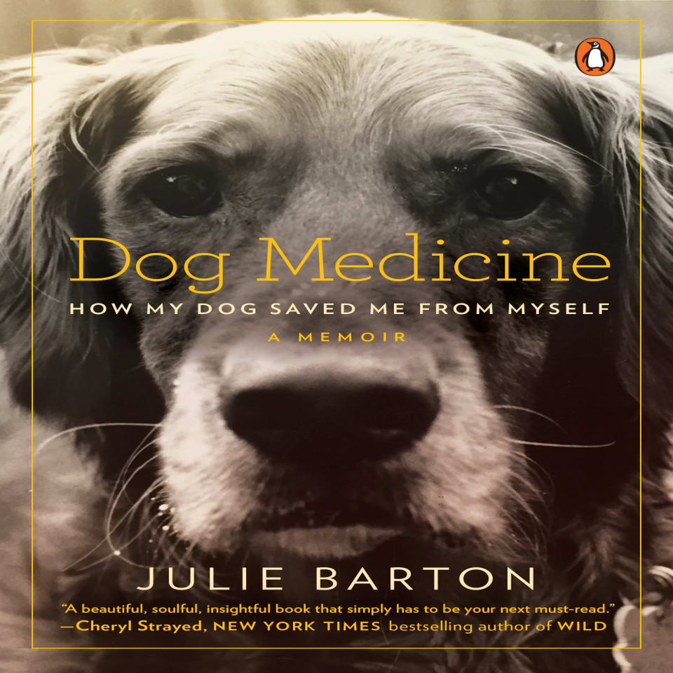Dog Medicine by Julie Barton Audiobook