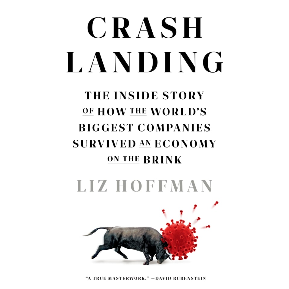 crash-landing-by-liz-hoffman-audiobook