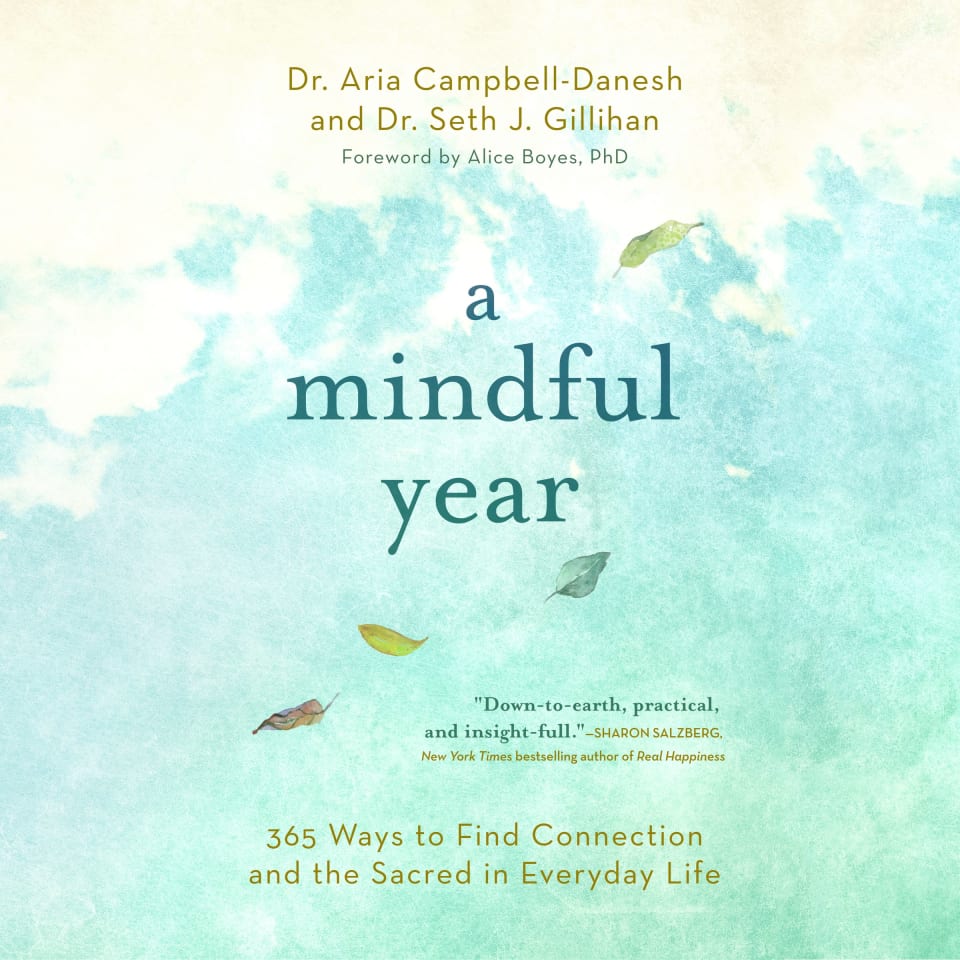 Mindfulness Journal – Chronicle Books
