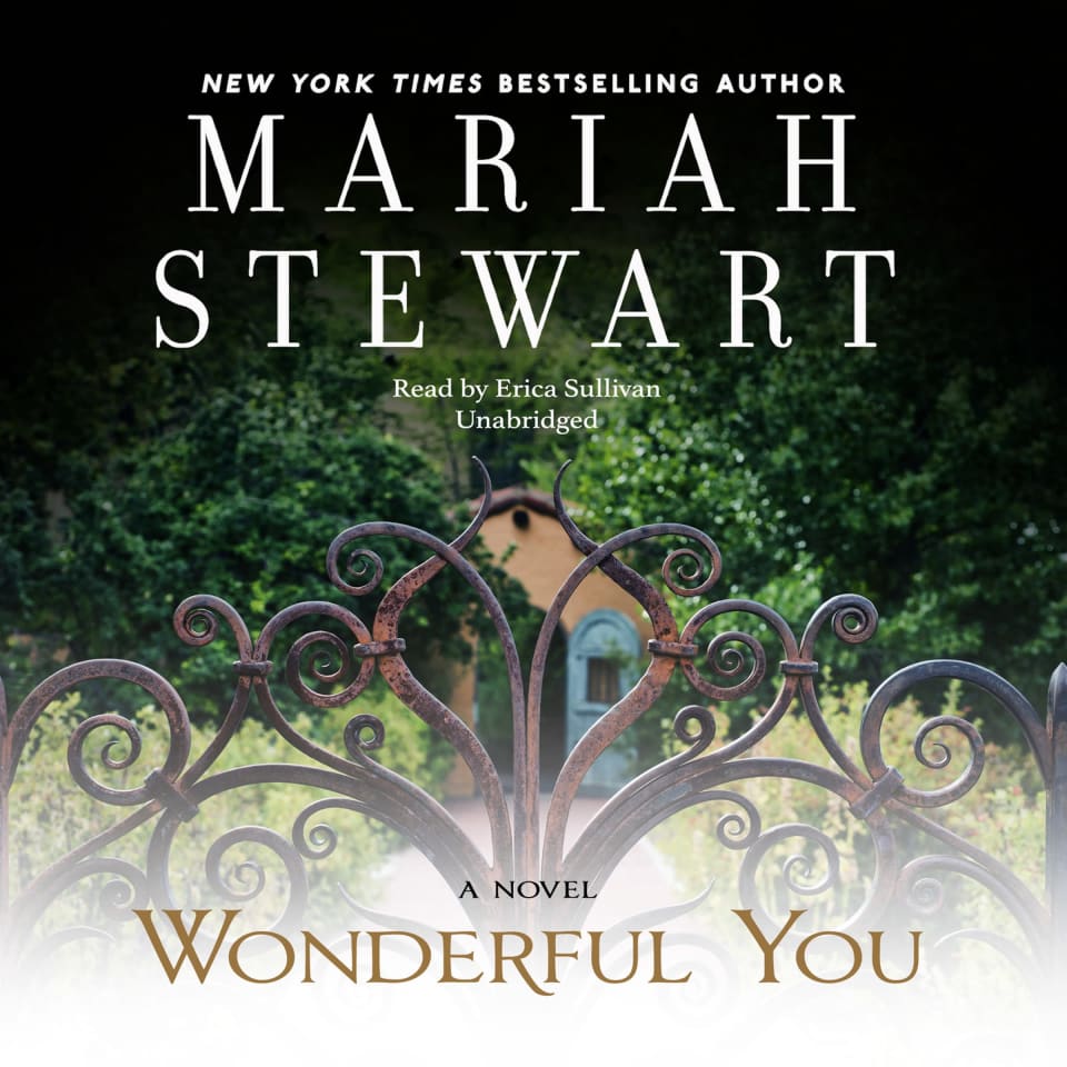 Wonderful You  Audiobook by Mariah Stewart