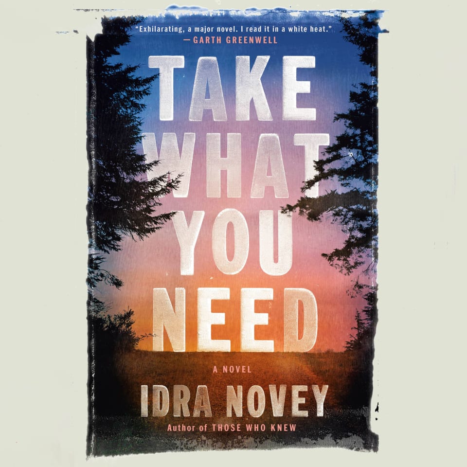 Take What You Need - Audiobook, by Idra Novey