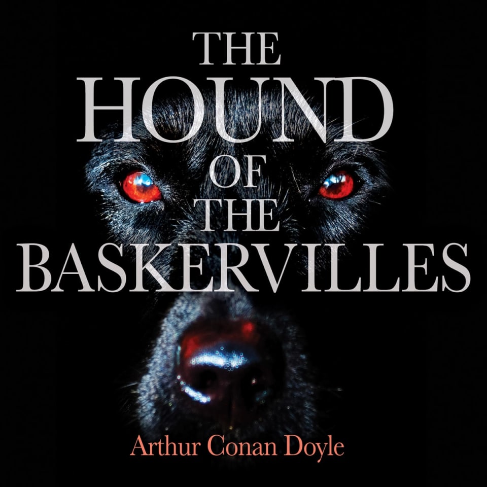 book review the hound of baskerville