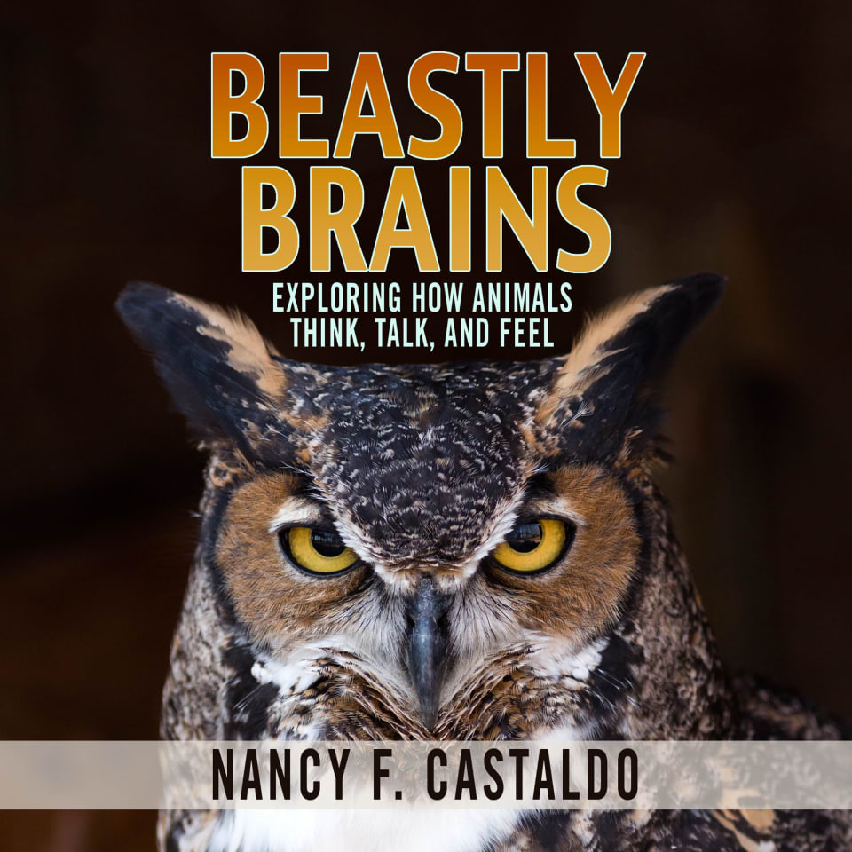 Beastly Brains - Audiobook, by Nancy F. Castaldo