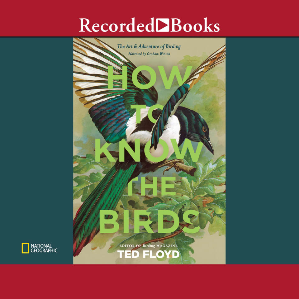 How to Know the Birds - Audiobook, by Ted Floyd