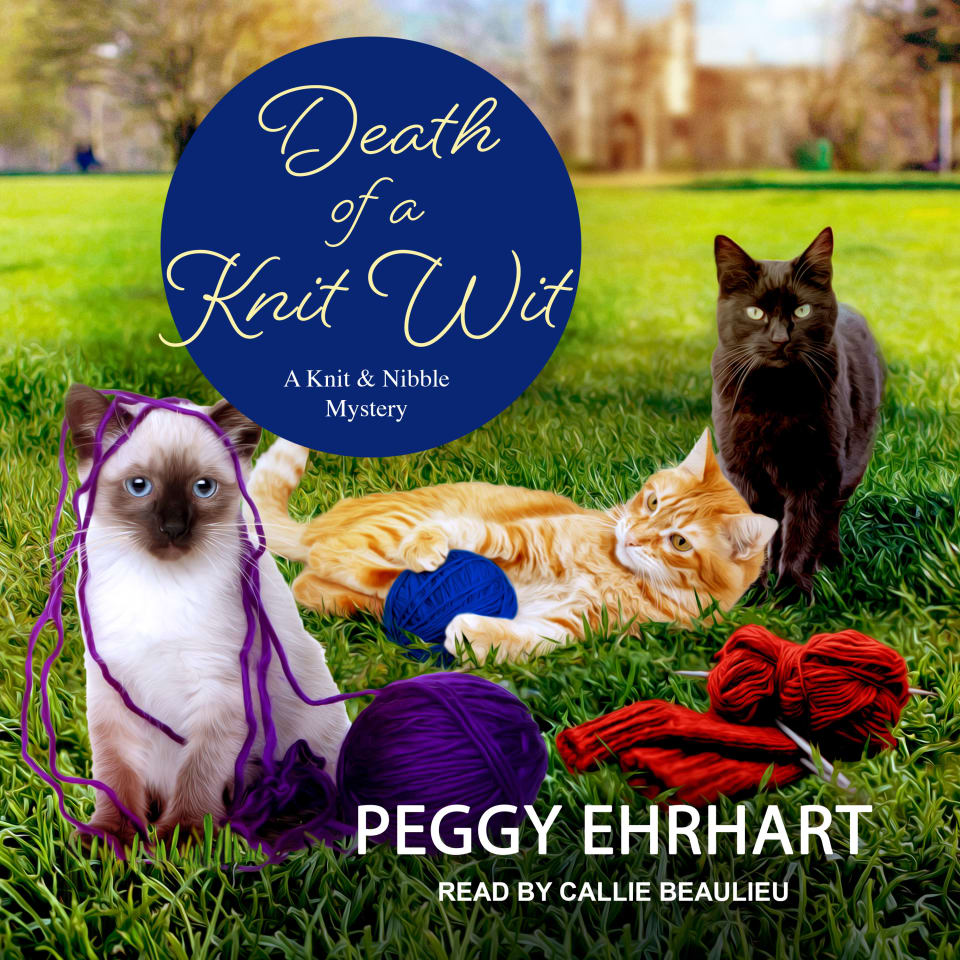 Death of a Knit Wit by Peggy Ehrhart Audiobook