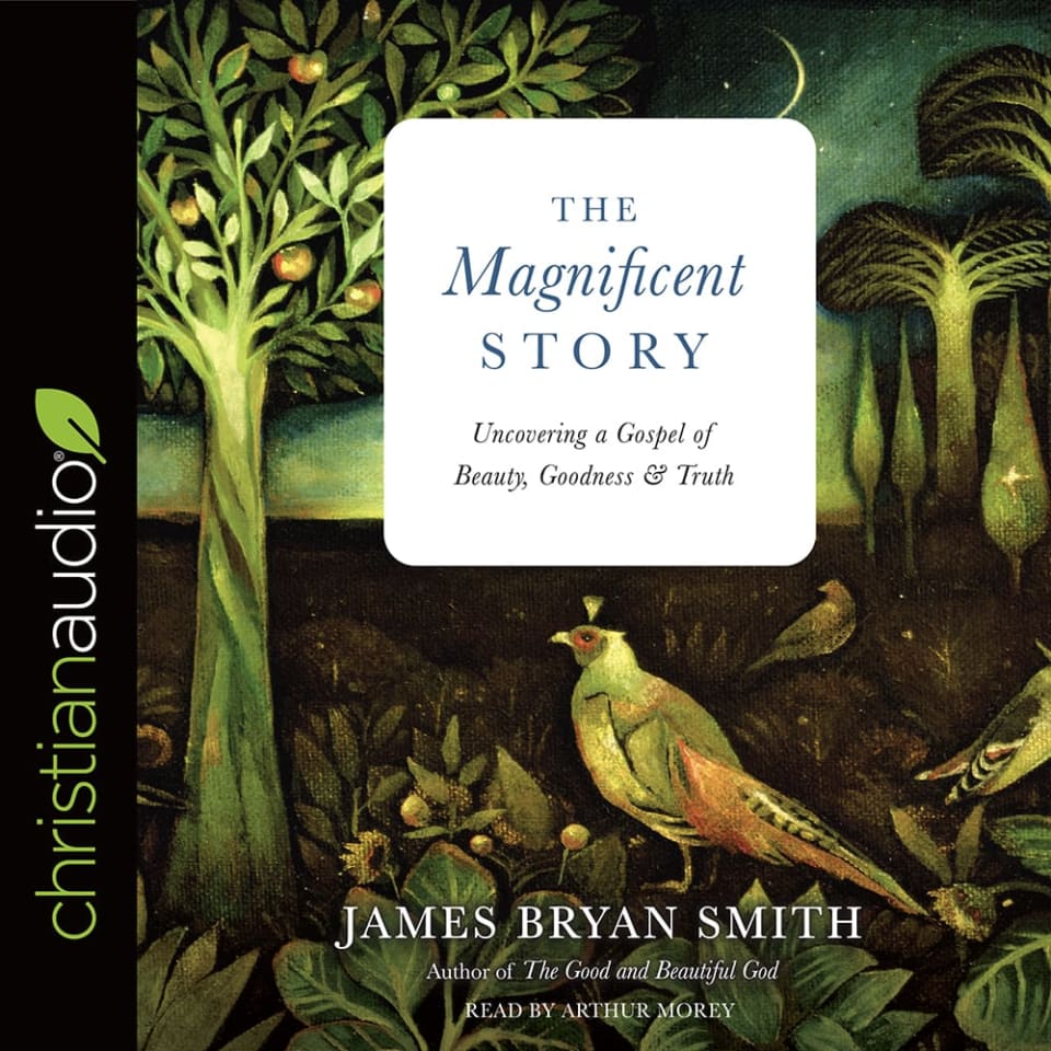 Magnificent Story  Audiobook by James Bryan Smith