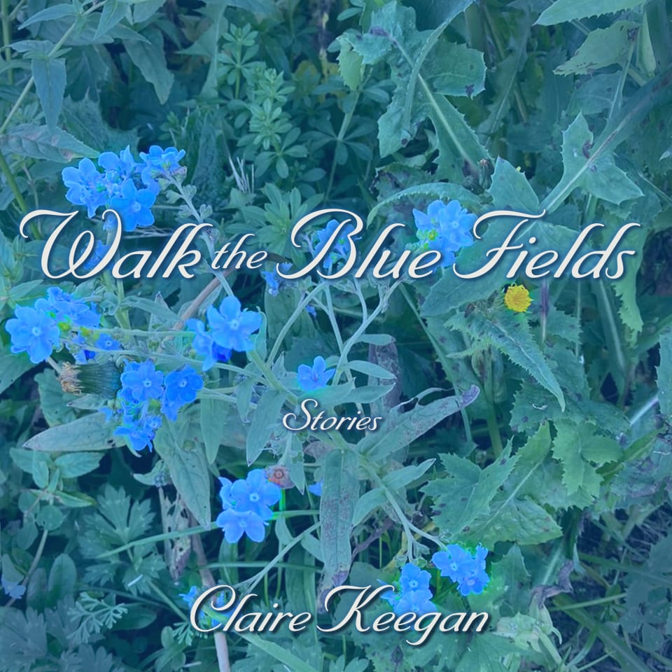 Walk the Blue Fields by Claire Keegan Audiobook