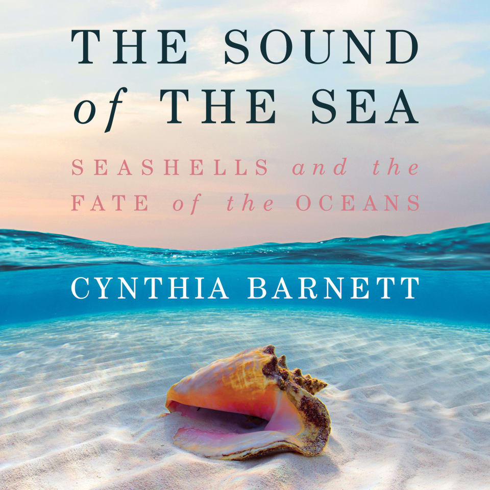 The Sound Of The Sea By Cynthia Barnett Audiobook