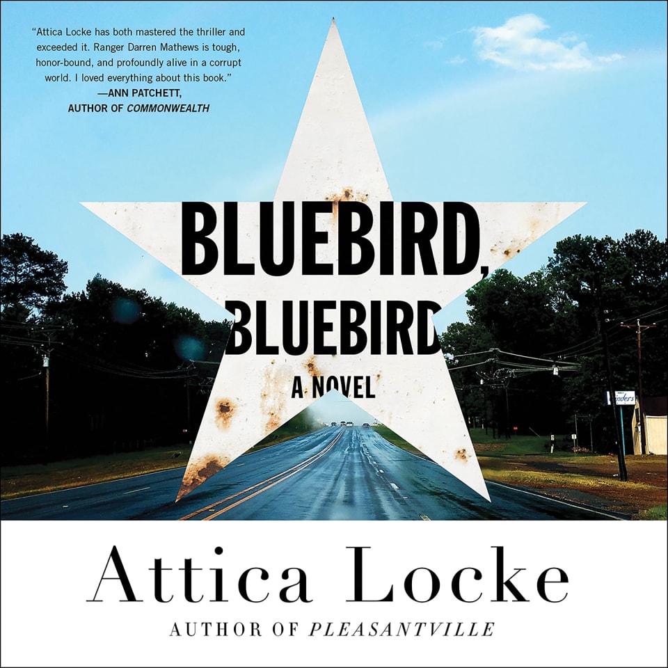 Bluebird, Bluebird [Book]