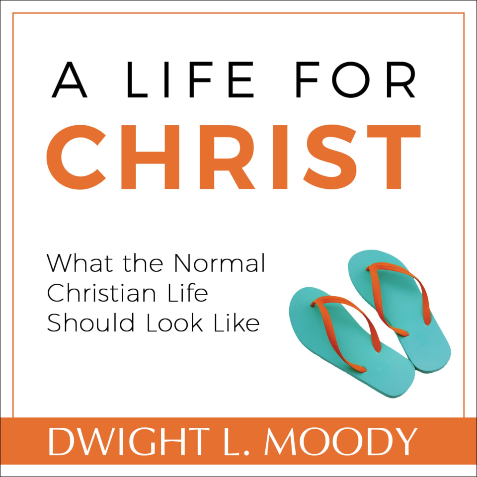 A Life For Christ What The Normal Christian Life Should Look Like By a-life-for-christ-what-the-normal-christian-life-should-look-like-by