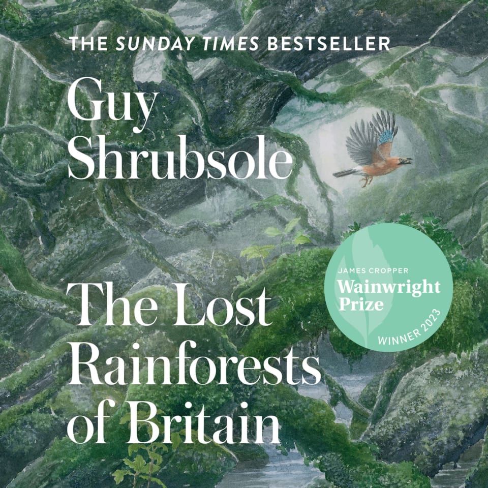 The Lost Rainforests Of Britain - By Guy Shrubsole : R - Foto 7