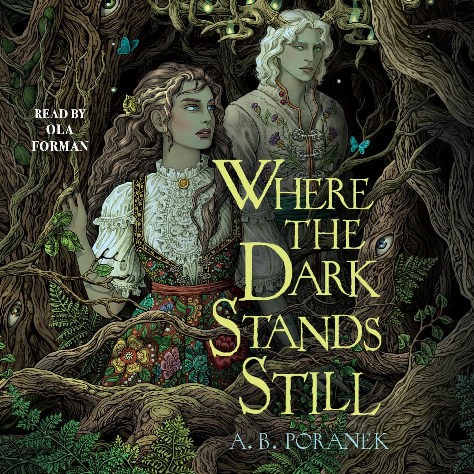 Where the Dark Stands Still - Audiobook, by A. B. Poranek