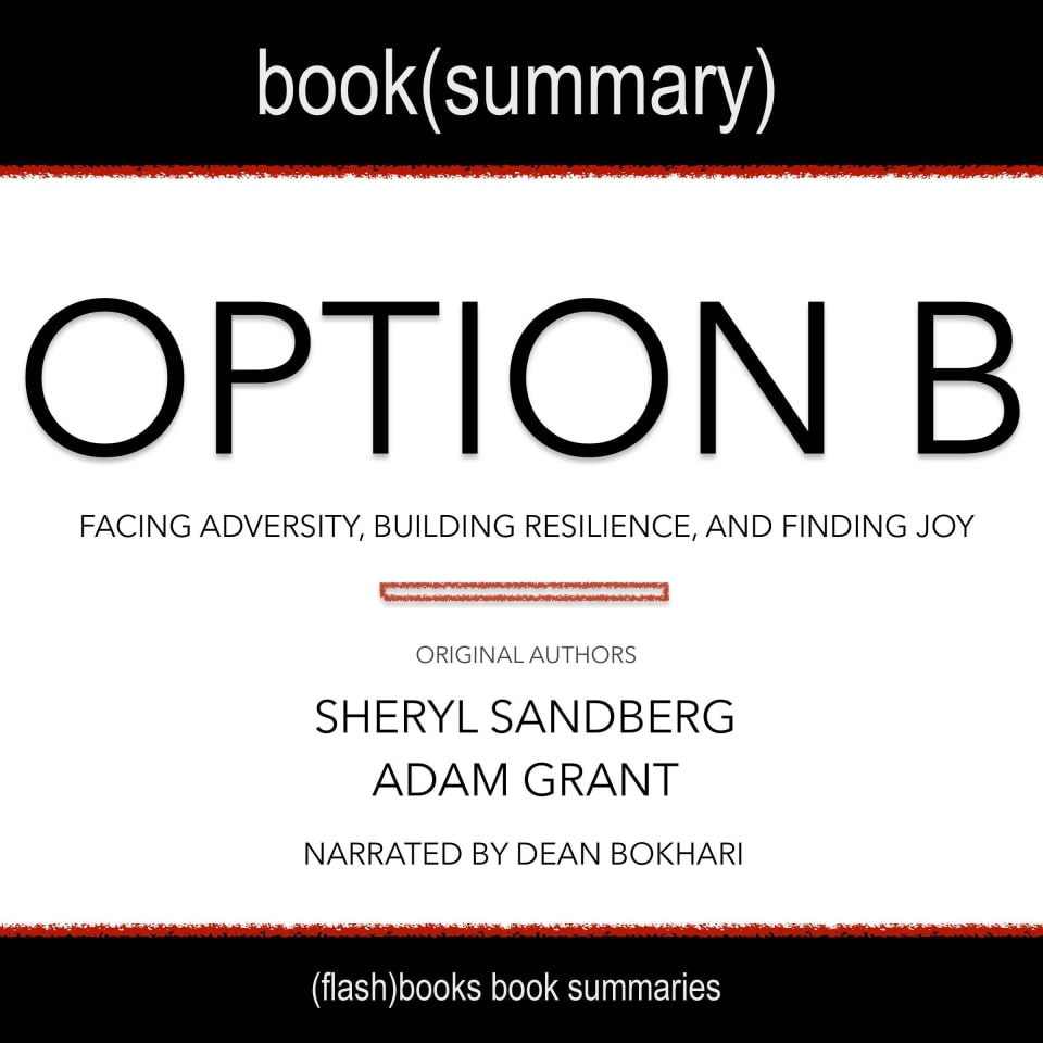 Summary Of Option B: Facing Adversity, Building Resilience, And Finding ...