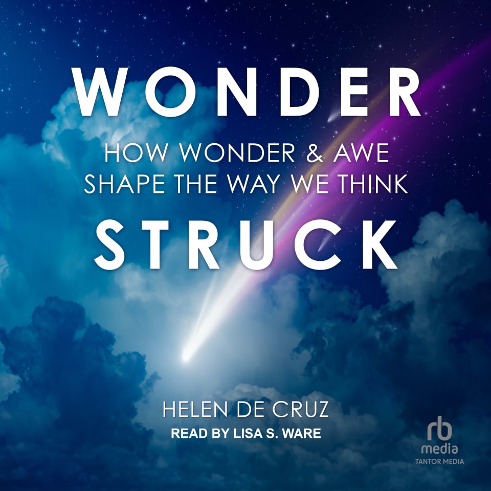wonderstruck book helen de cruz