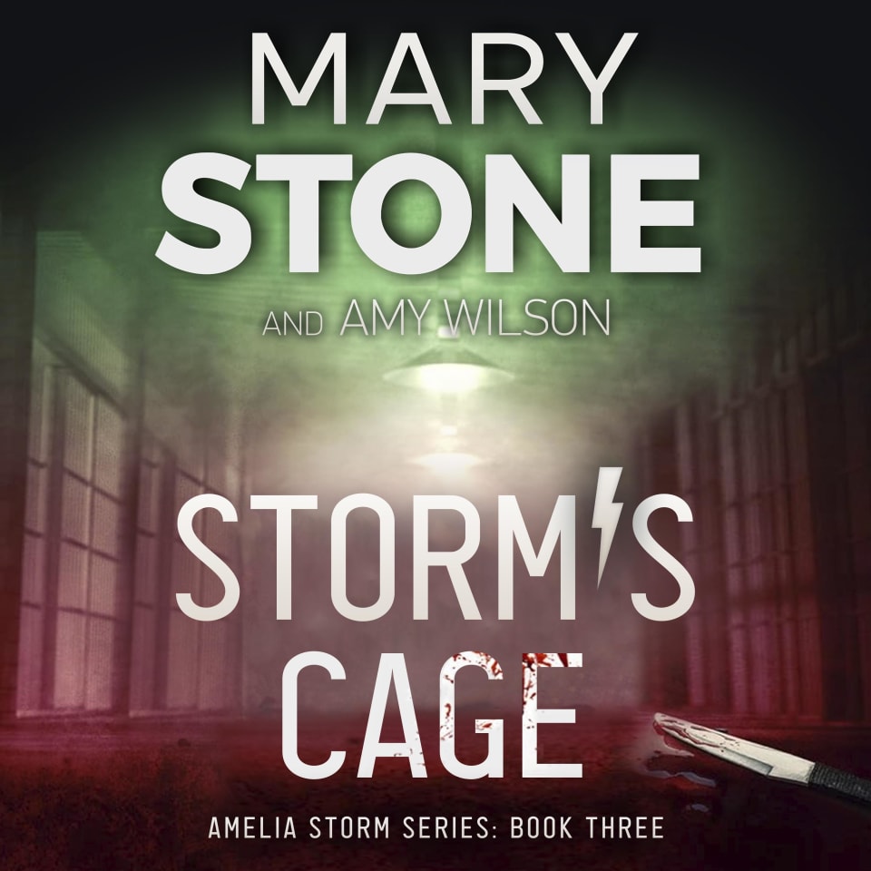 Storm's Cage by Mary Stone - Audiobook