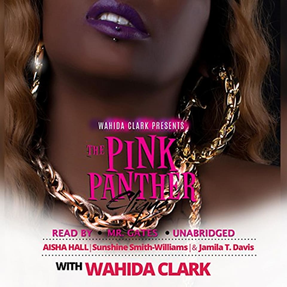 The Pink Panther Clique  Audiobook by Collected Authors