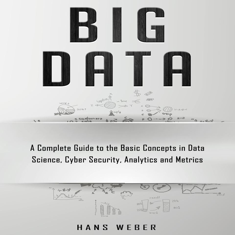 Big Data - Audiobook, by Hans Weber