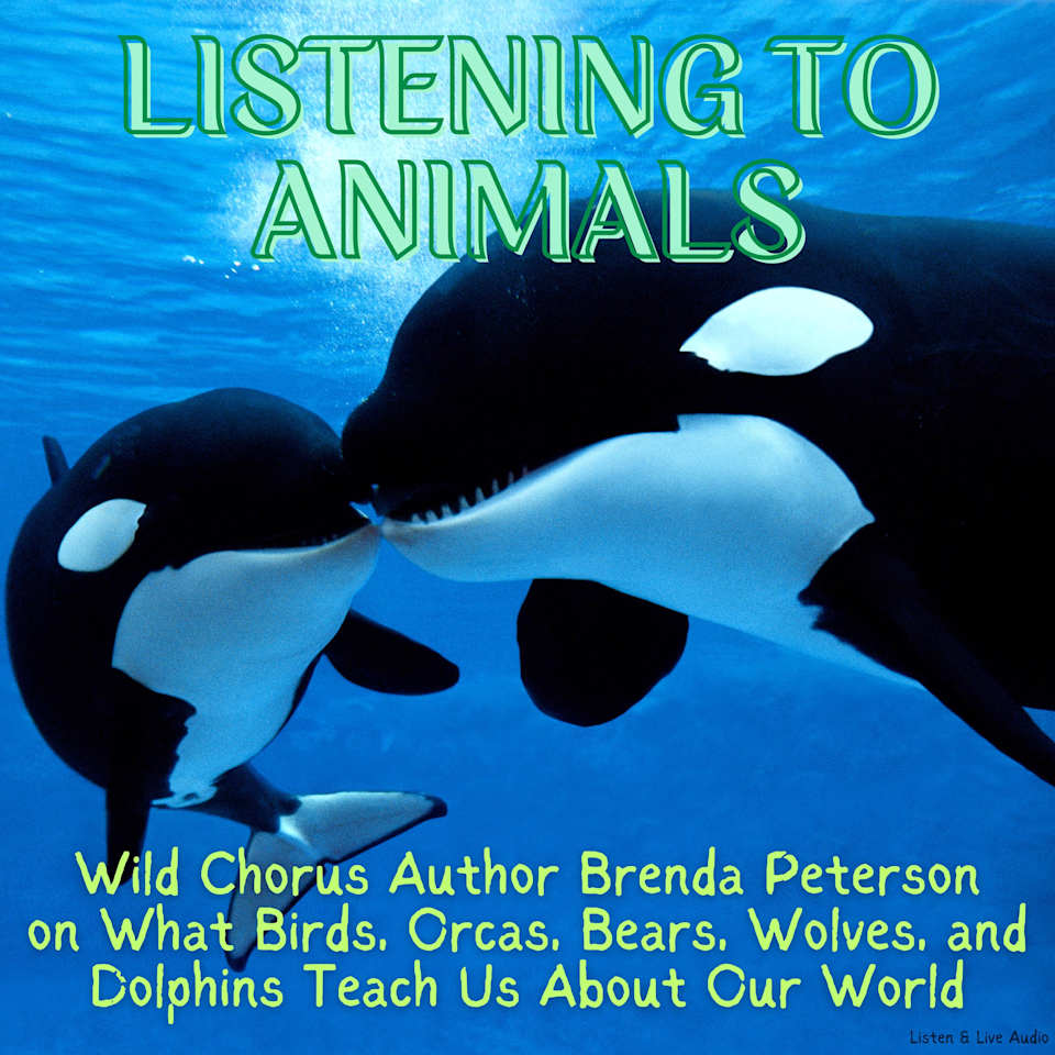 Listening to Animals Wild Chorus Author Brenda Peterson Audiobook by Brenda Peterson