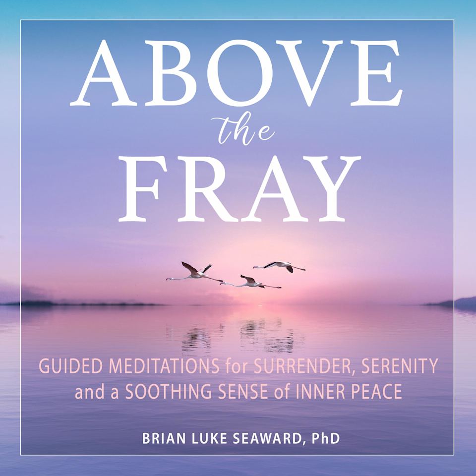 Above the Fray - Audiobook, by Brian Luke Seaward