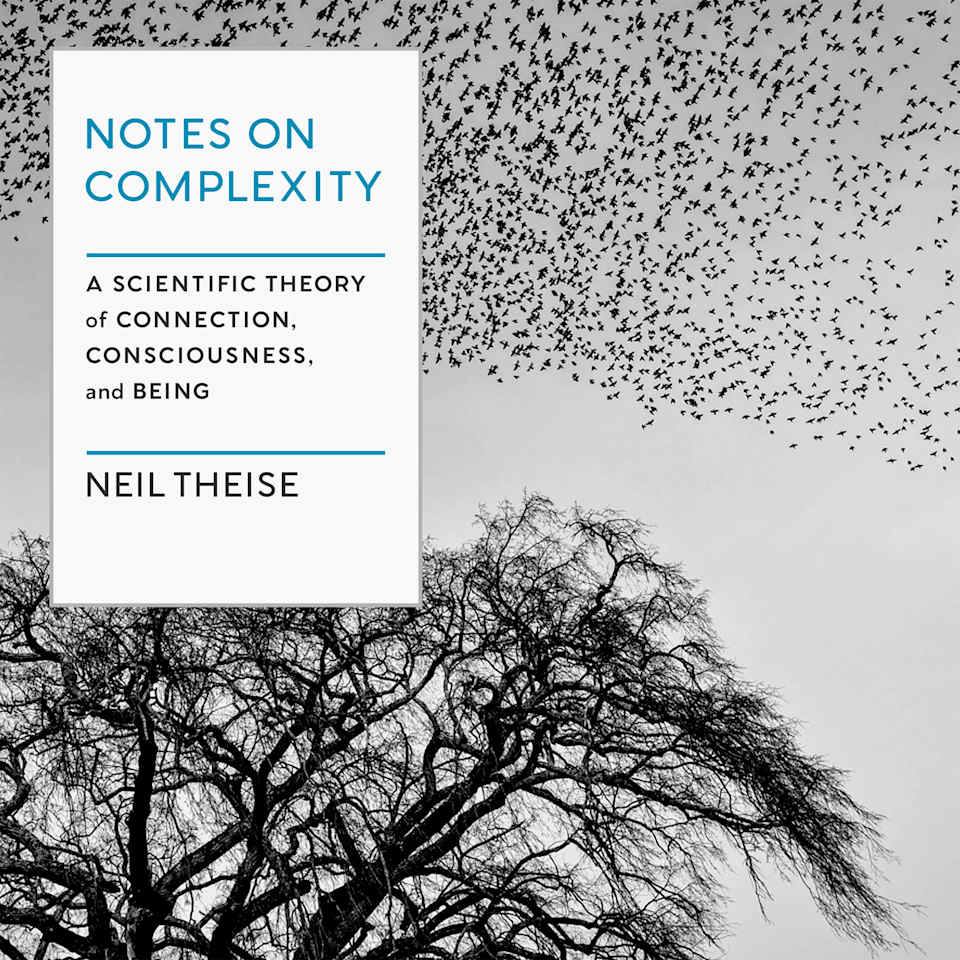 NOTES ON COMPLEXITY - Audiobook, by Neil Theise