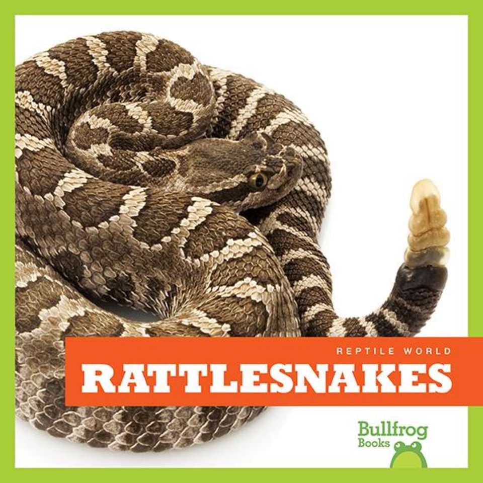 RATTLESNAKES STEPHEN KING AUDIOBOOK visual data 7
