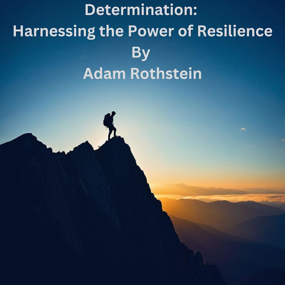 Determination - Audiobook, by Adam Rothstein