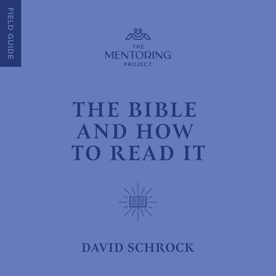 The Bible and How to Read It by David S. Schrock Audiobook