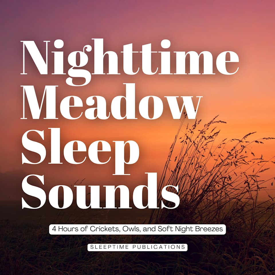 Nighttime Meadow Sleep Sounds - Audiobook, by Sleeptime Publications