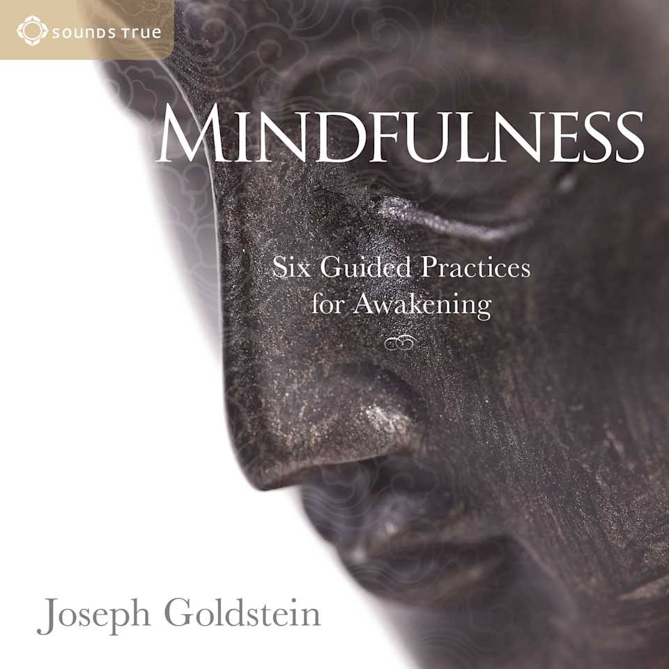Mindfulness - Audiobook, by Joseph Goldstein