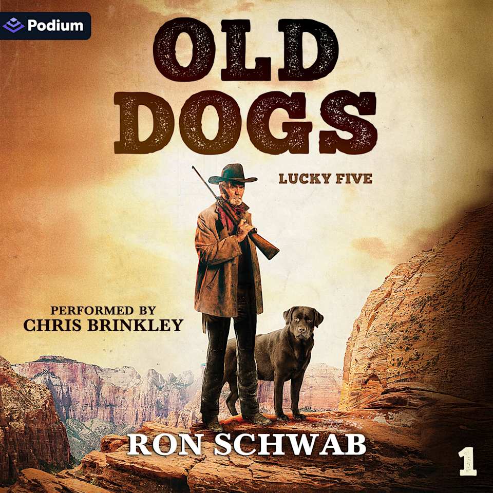 Old Dogs  Audiobook by Ron Schwab