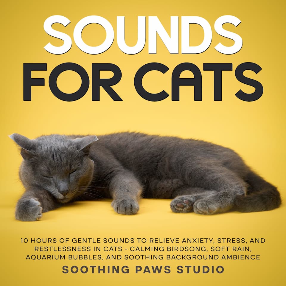 Sounds for Cats: 10 Hours of Gentle Sounds to Relieve Anxiety, Stress ...