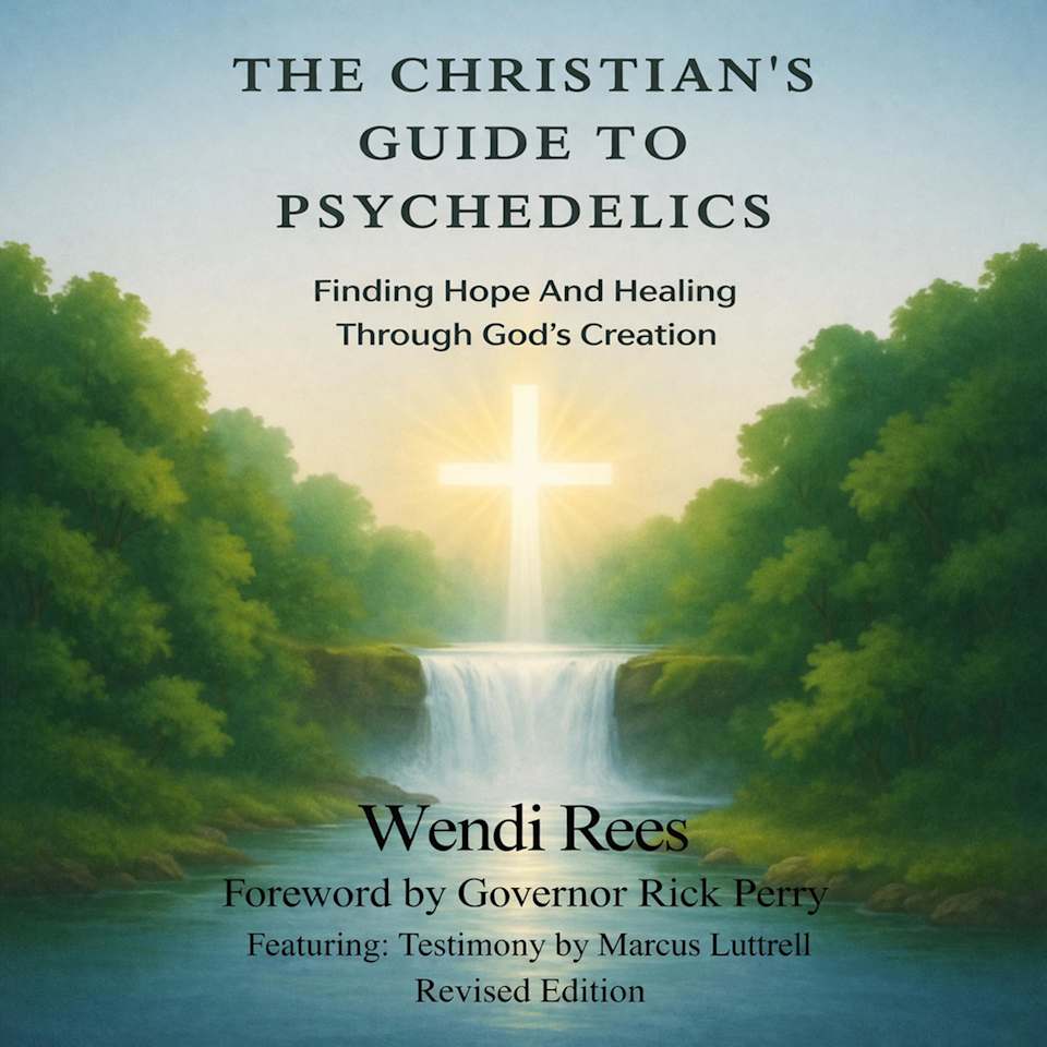 Wendi Rees The Christian's Guide to Psychedelics: Finding Hope and Healing Through ...