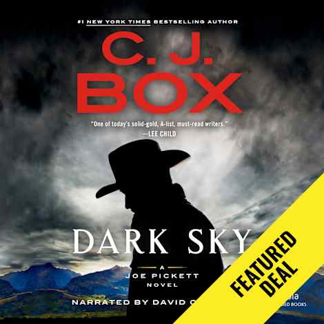 Dark Sky by C. J. Box